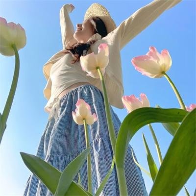 赤裸特工